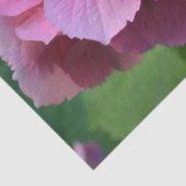 Roze Pompom Hydrangea Hortensia Bloem Tissuepapier (Detail)