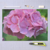 Roze Pompom Hydrangea Hortensia Bloem Tissuepapier (Craft)