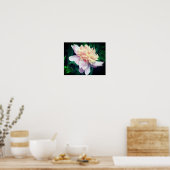 Roze pony-bloem dicht bij elkaar poster (Keuken)