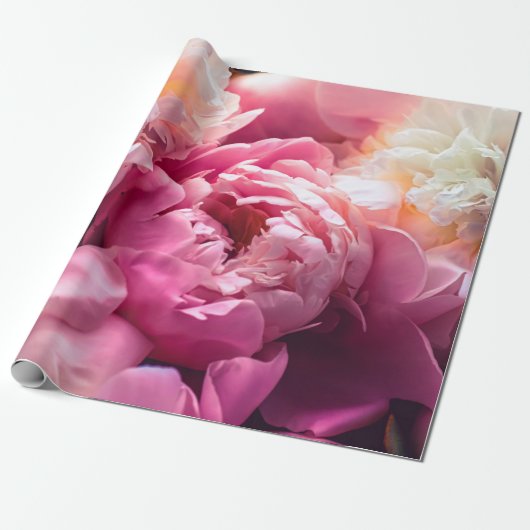 Roze pony-bloemen als florale kunstachtergrond, bo cadeaupapier (Uitgerold)