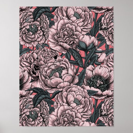 Roze pony-bloemen en -moten poster (Voorkant)