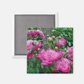 Roze pony-bloemen magneet (Voorkant / Achterkant)