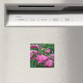 Roze pony-bloemen magneet (Insitu (Vaatwasser))