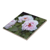  roze pony decoratieve Tegel Tegeltje (Zijkant)