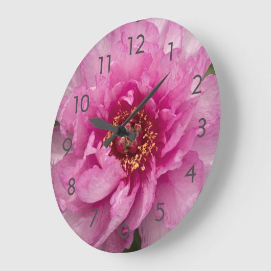 Roze pony Flower Acrylwall klok (Hoek)