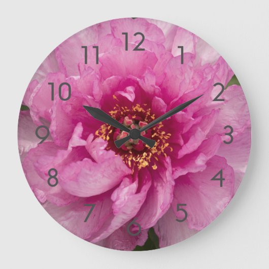 Roze pony Flower Acrylwall klok (Voorkant)