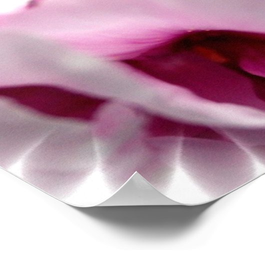 Roze pony Flower Poster (Hoek)