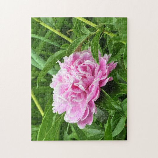 roze pony legpuzzel (Verticaal)