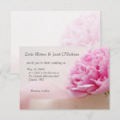 Roze pony met lint kaart (Voorkant / Achterkant)