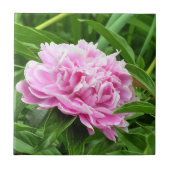  roze pony tegeltje (Voorkant)