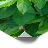 Roze pony-ventilator, zwart, van ijzer, foto-Poste Poster (Hoek)