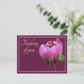 Roze pony Wine Colour Background denking of you Briefkaart (Staand voorkant)