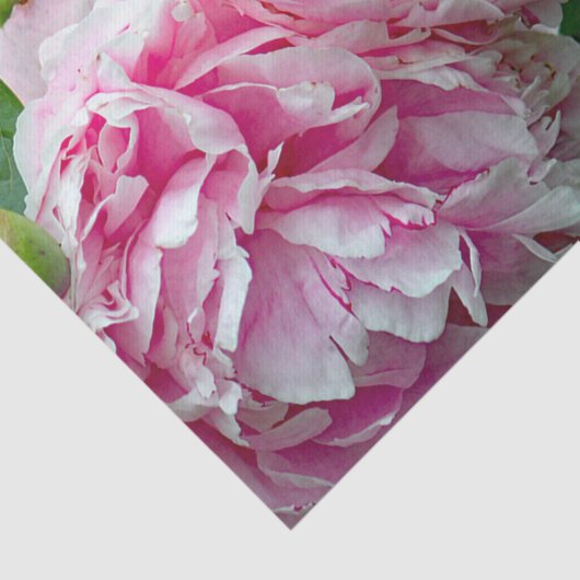  roze pony's tissuepapier (Detail)