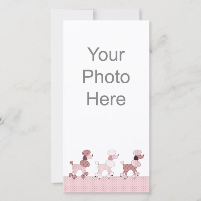Roze Poodles Op Parade Foto Kaart (Voorkant)