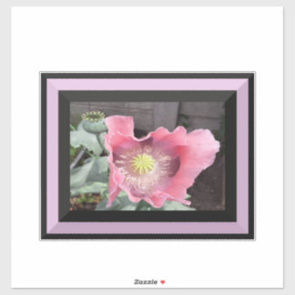 Roze Poppy met randje Sticker