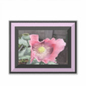 Roze Poppy met randje Sticker (Voorkant)