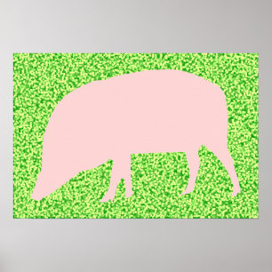 Roze Poster