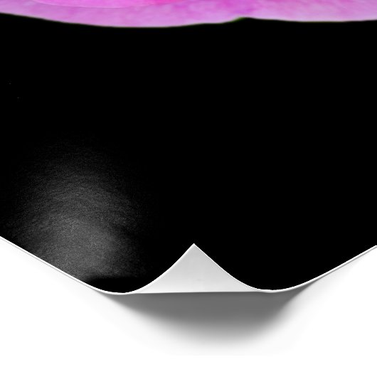 Roze Poster (Hoek)