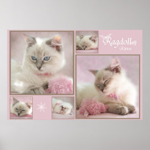 roze poster