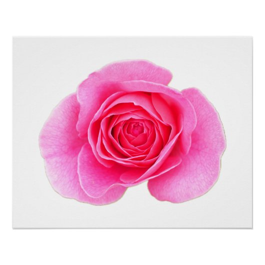 Roze Poster (Voorkant)