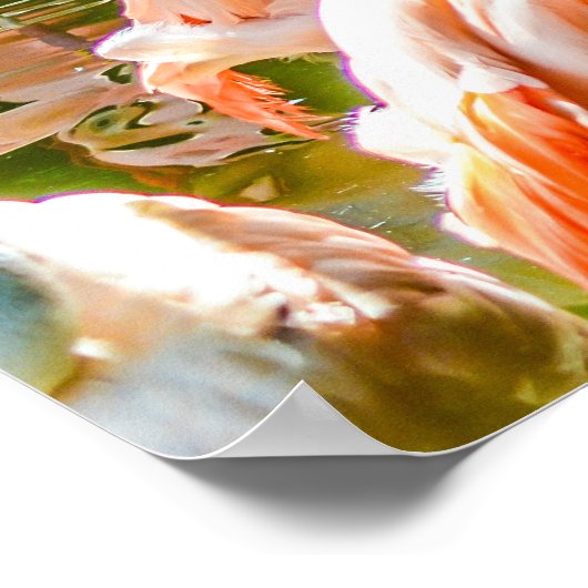 Roze Poster Flamingo (Hoek)