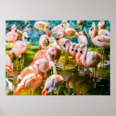 Roze Poster Flamingo (Voorkant)