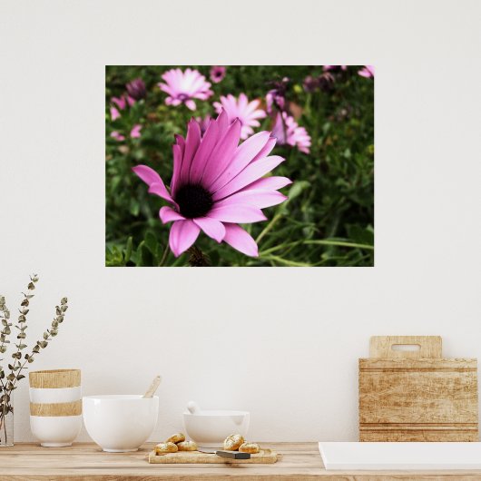 Roze Poster Petals (Keuken)