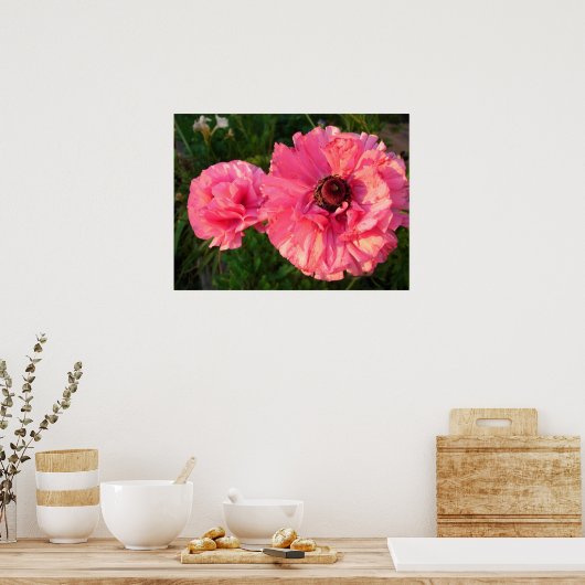Roze Poster van Rannunculus Bulb Spring Garden Flo (Keuken)