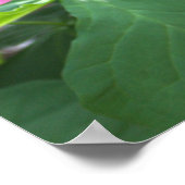 Roze Poster van wilde bloemen (Hoek)
