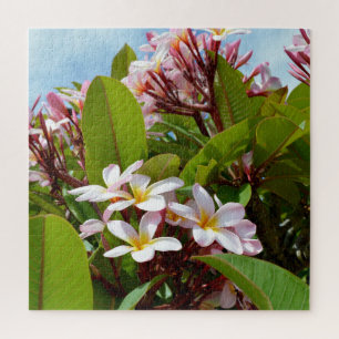 Roze pracht, roze frangipani bloeit op een boom legpuzzel