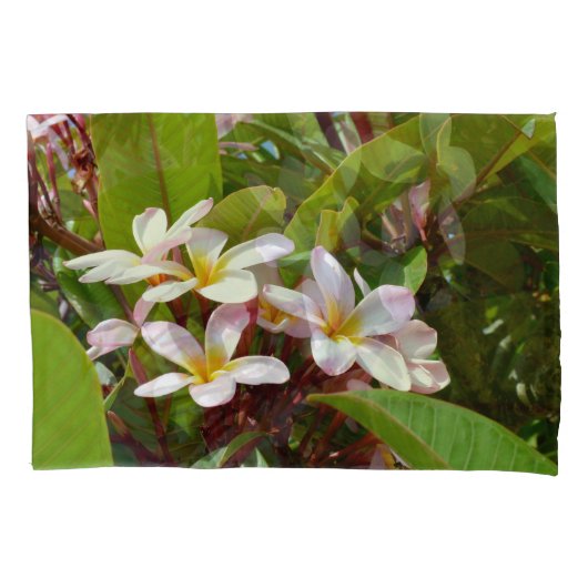 Roze pracht, roze Frangipani-bloesems aan een boom Kussensloop (Voorkant)