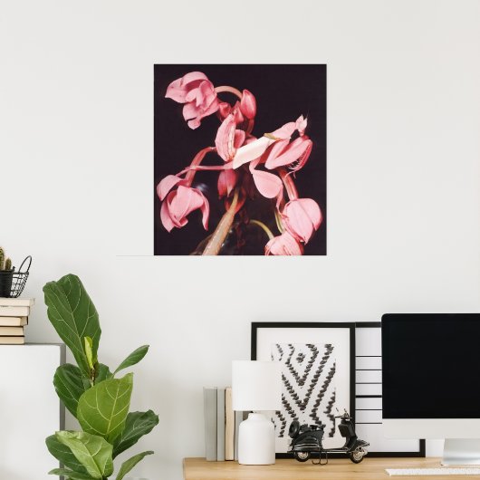 Roze Praying Mantis Camouflage Poster (Thuiskantoor)