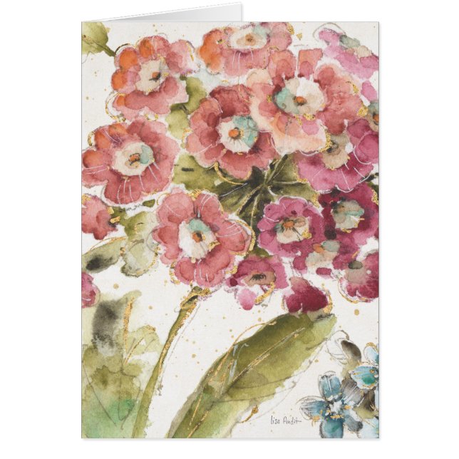 Roze primrose (Voorkant)