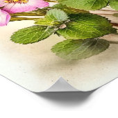 Roze Primrose Bloemen Art Print Poster (Hoek)