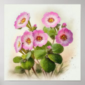Roze Primrose Bloemen Art Print Poster (Voorkant)