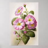 Roze Primrose Bloemen Art Print Poster (Voorkant)