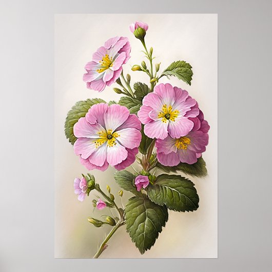 Roze Primrose Bloemen Art Print Poster (Voorkant)