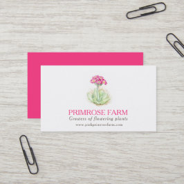Roze primrose boerderij plant visitekaartje