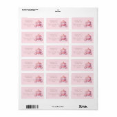 Roze Prinses Koets Retouradreslabels Etiket (Full Sheet)