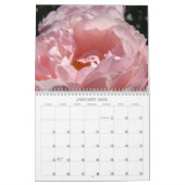  Roze prinses Roos Garden Calendar Rozen Kalender (Jan 2026)