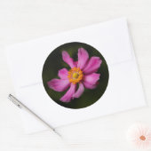 Roze "Prinz Heinrich" Japanse Anemone Flower Ronde Sticker (Envelop)