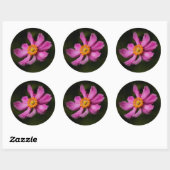 Roze "Prinz Heinrich" Japanse Anemone Flower Ronde Sticker (Vel)