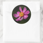 Roze "Prinz Heinrich" Japanse Anemone Flower Ronde Sticker (Tas)