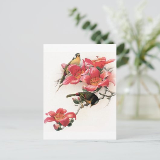 Roze Profusion Briefkaart (Staand voorkant)