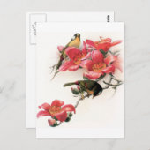 Roze Profusion Briefkaart (Voorkant / Achterkant)