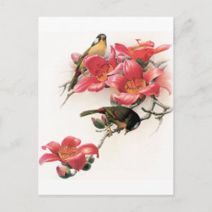 Roze Profusion Briefkaart