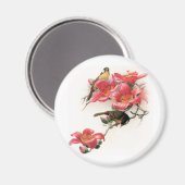 Roze Profusion Magneet (Voorkant / Achterkant)