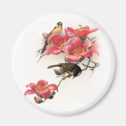 Roze Profusion Magneet (Voorkant)