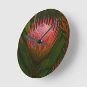 Roze Protea Bloem Exotische Bloei Ronde Klok (Hoek)