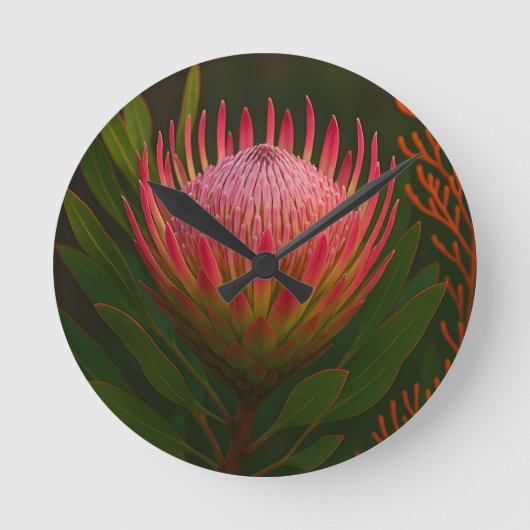 Roze Protea Bloem Exotische Bloei Ronde Klok (Voorkant)